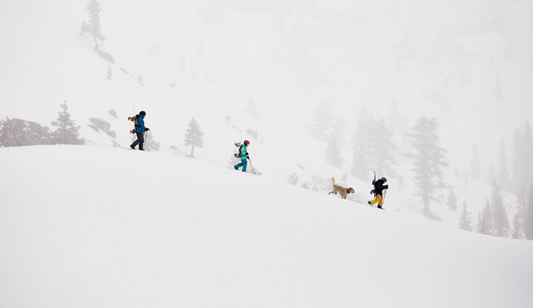 THE NORTH FACE GRAVITY TOMAMU